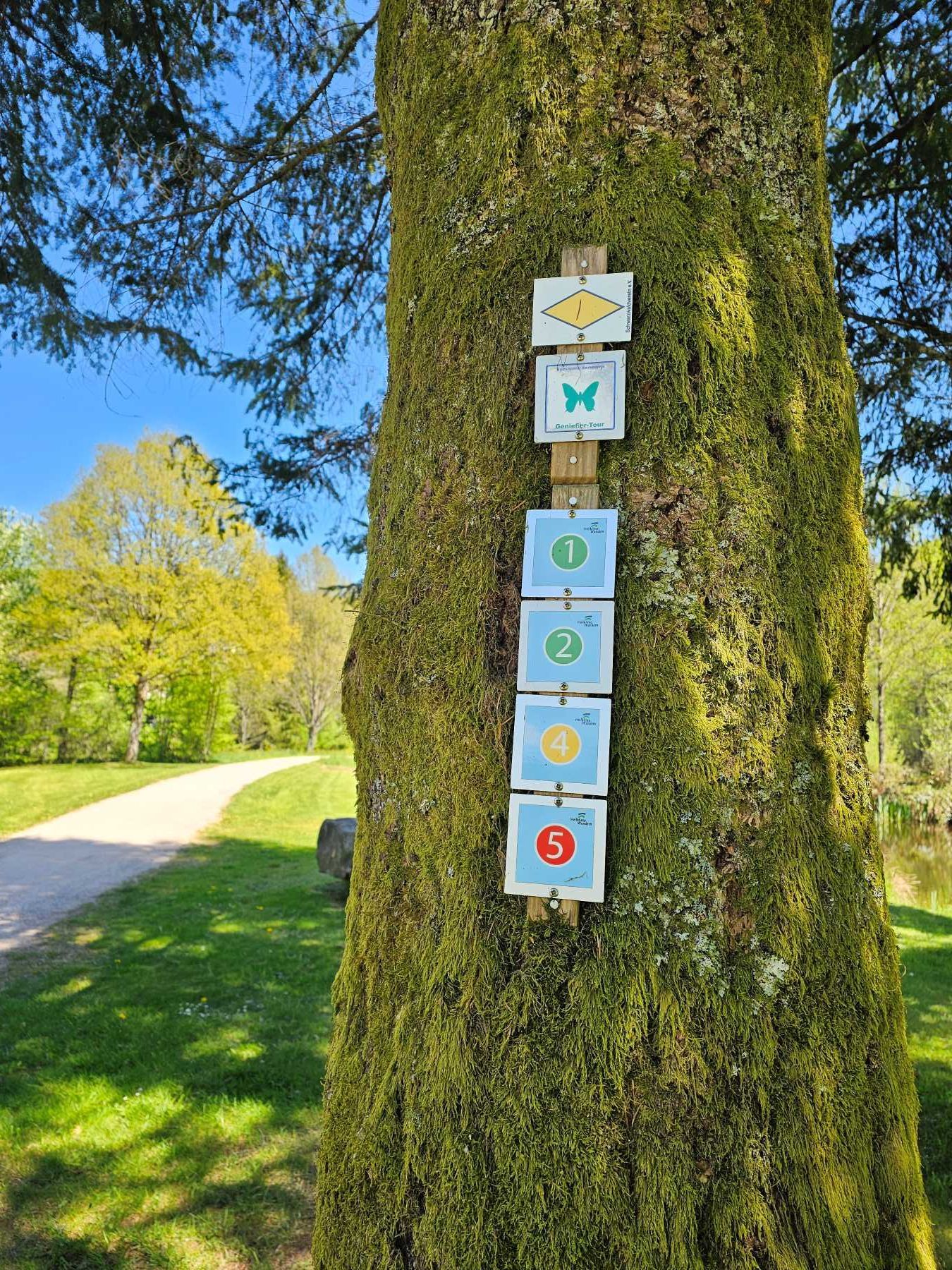 Wanderweg-Markierung an einem Baum im Kurpark Obertal bei Baiersbronn – Wanderstart direkt nahe der Ferienwohnung