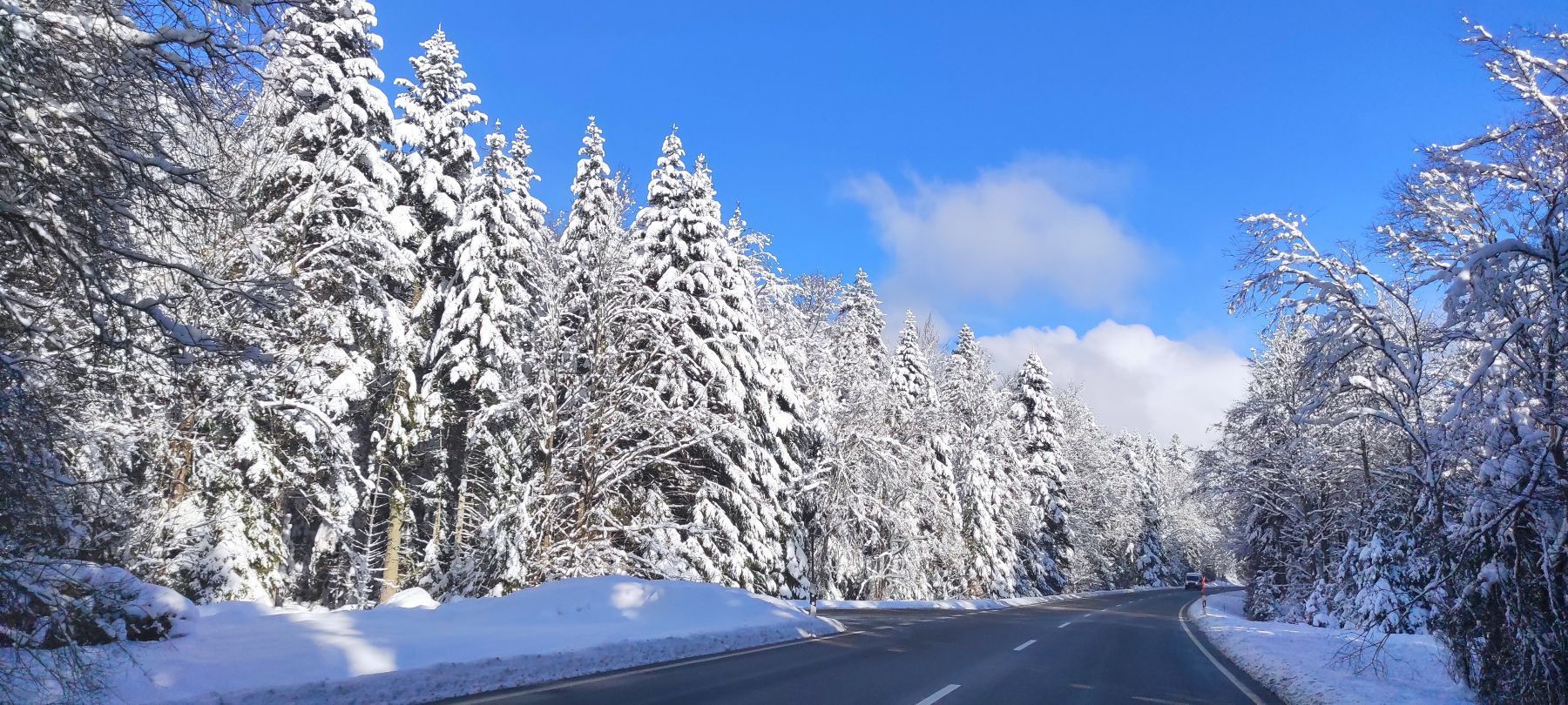Verschneite Schwarzwaldhochstraße im Winter in Richtung Nationalpark Schwarzwald mit sonnigem Himmel