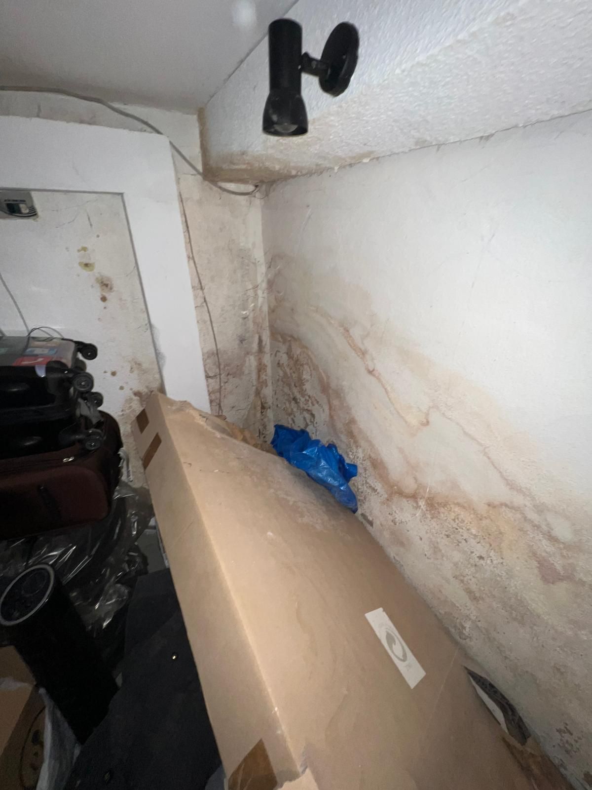 Feuchte Innenwand mit Wasserflecken und Schimmel. Karton und Gegenstände werden in der Nähe gelagert.