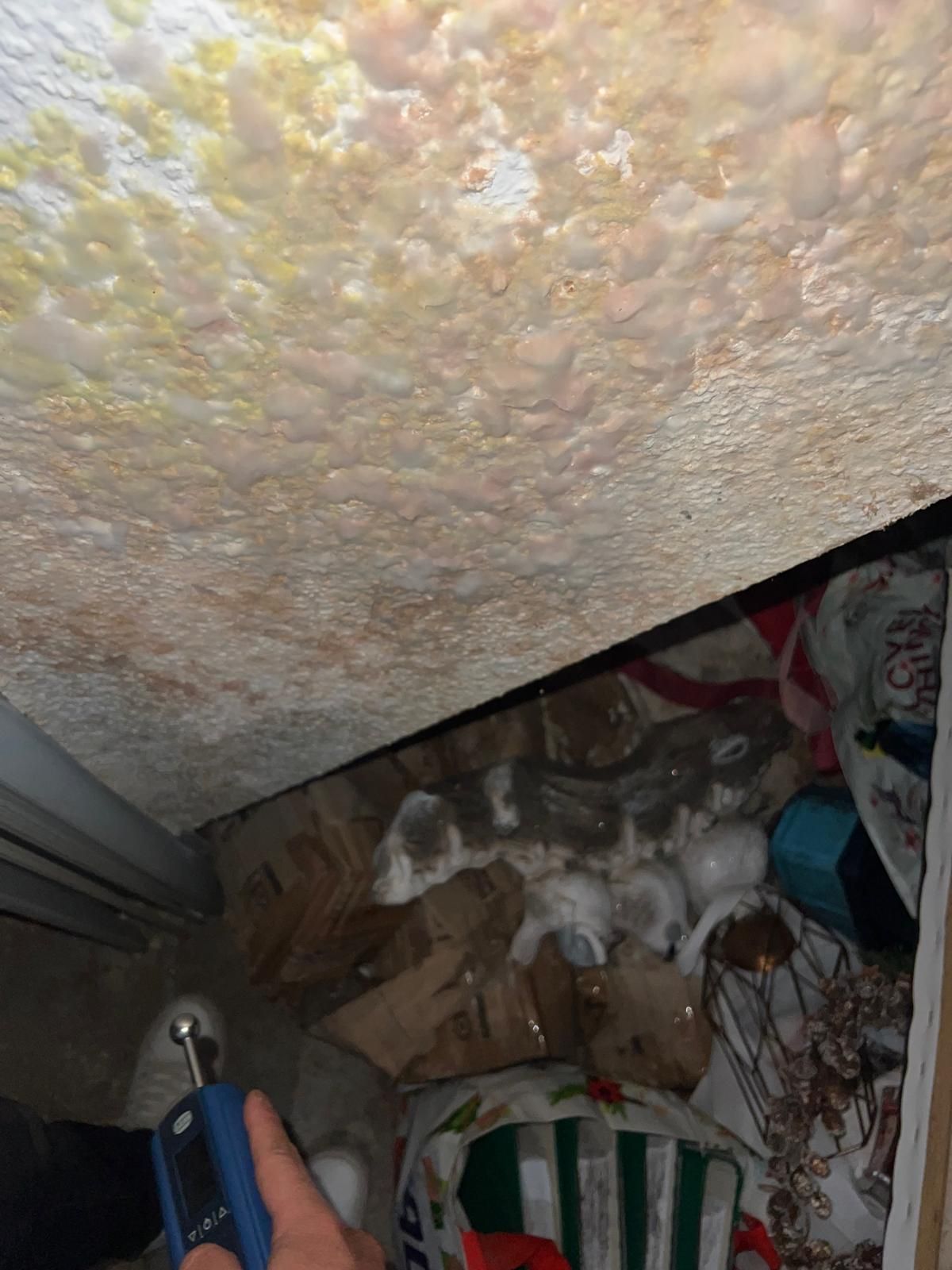 Schimmel an einer Decke, unter der Gegenstände gelagert sind; jemand hält ein Feuchtigkeitsmessgerät.