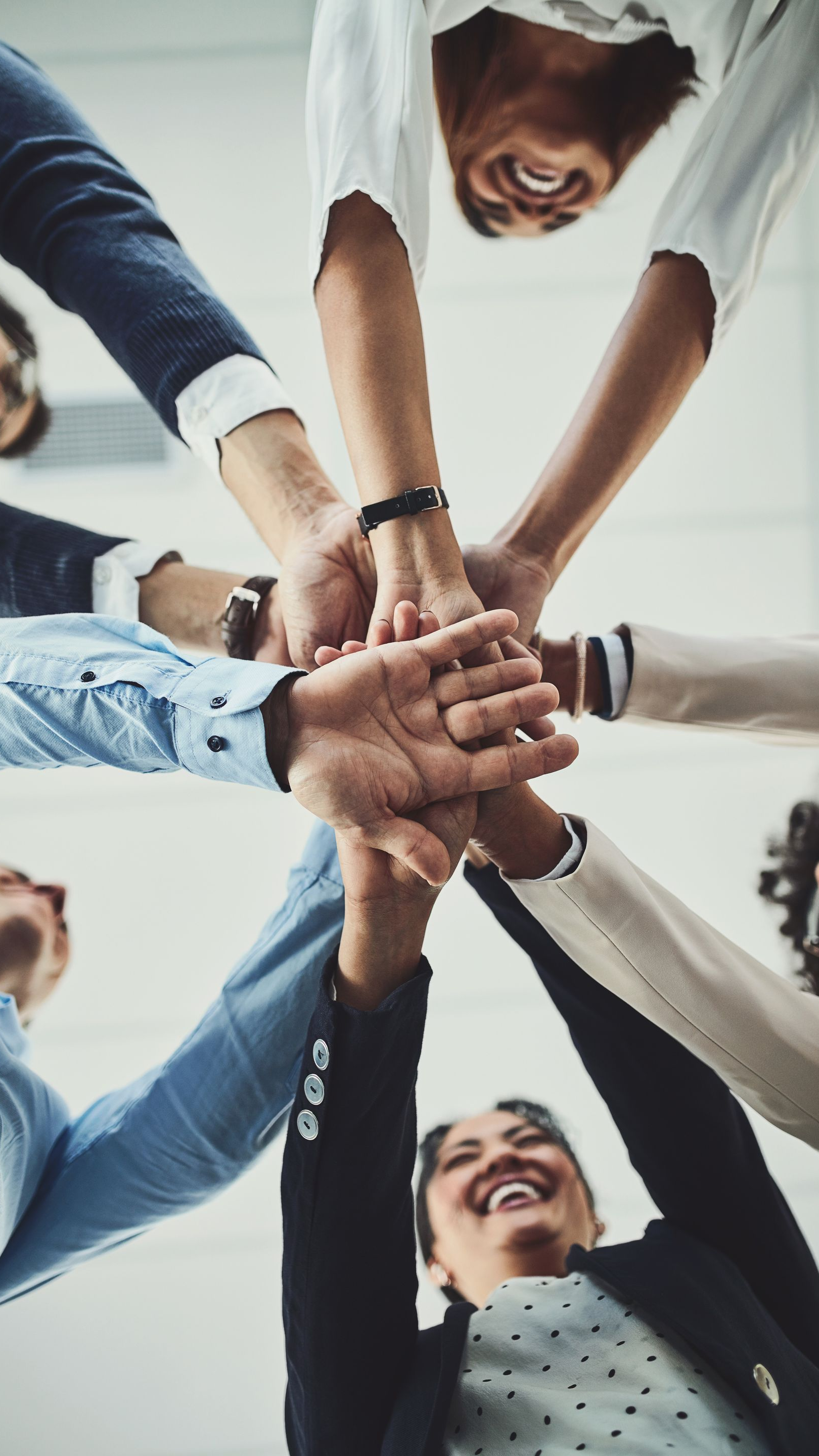Des personnes ont les bras levés, les mains jointes en un regroupement d'équipe, souriantes.