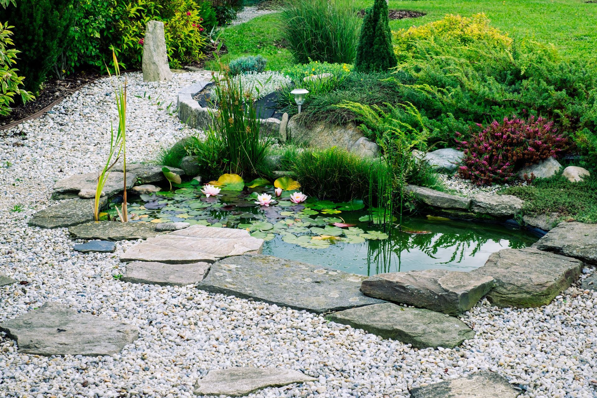 Teich im Garten - Fritz Fischer Gartenbau GmbH - Bremgarten AG