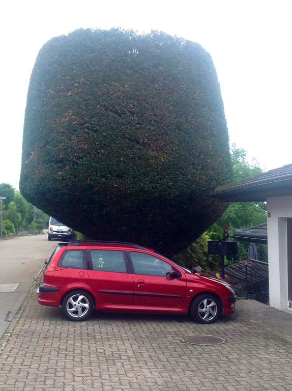 Neubepflanzungen - Fritz Fischer Gartenbau GmbH - Bremgarten AG