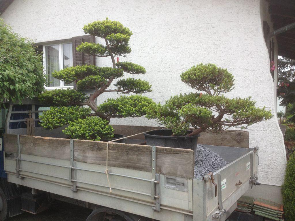 Fischer Fritz Gartenbau GmbH