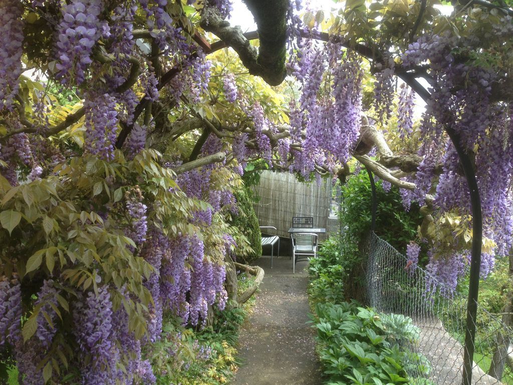 garten torbögen - Fritz Fischer Gartenbau GmbH - Bremgarten AG