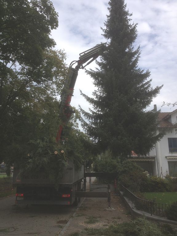 Neubepflanzungen - Fritz Fischer Gartenbau GmbH - Bremgarten AG