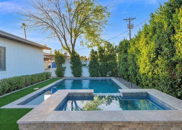Pool and spa surrounded by greenery in a residential backyard.
