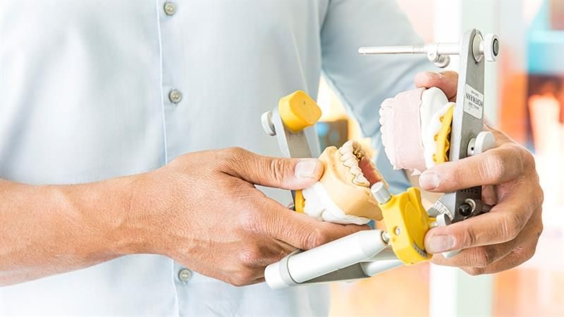 Ein Zahnarzt hält ein Modell der Zähne einer Person in seinen Händen.