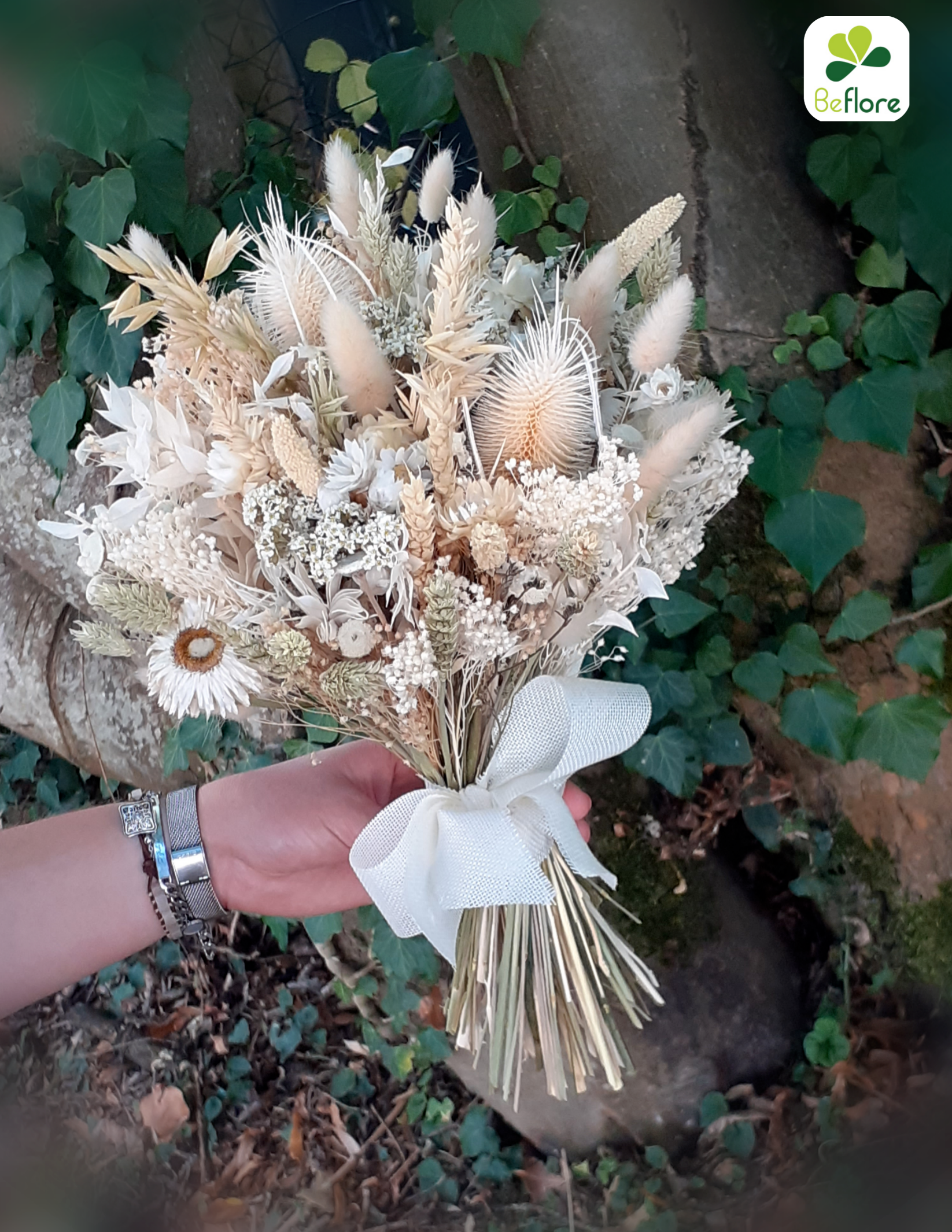 Plantes et fleurs séchées