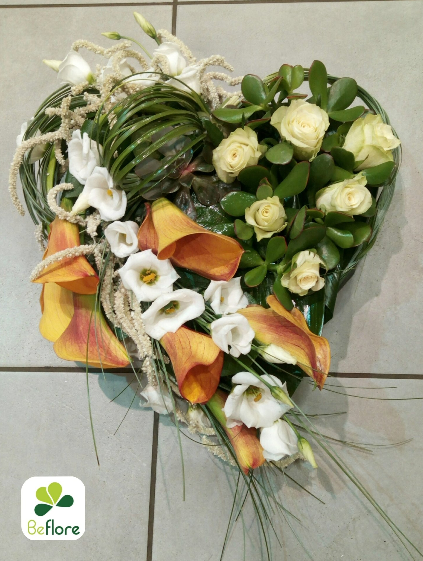 Composition de plantes vertes et fleurs