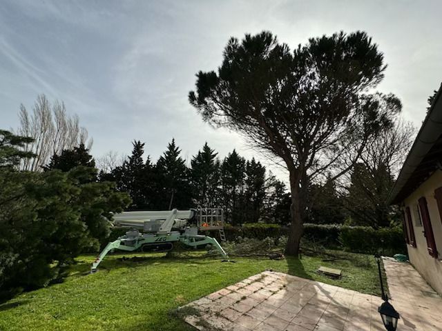 Une maison avec un arbre dans la cour et une nacelle araignée.