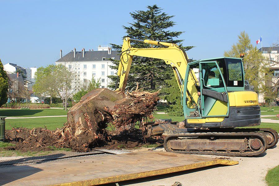 Minui pelle jaune en train d'arracher la souche d'un arbre dans un parc.