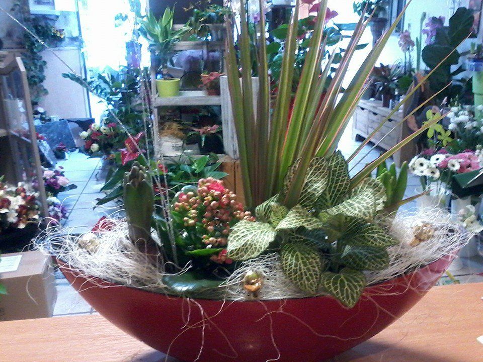 Livraisons de compositions florales autour de La Palme