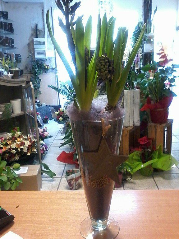 Créations florales près de Port-la-Nouvelle