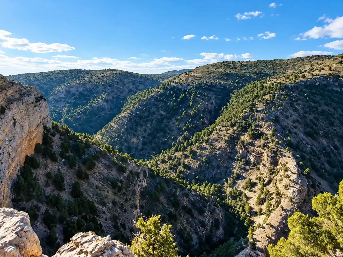 Cañón rocoso con colinas verdes bajo un cielo azul radiante