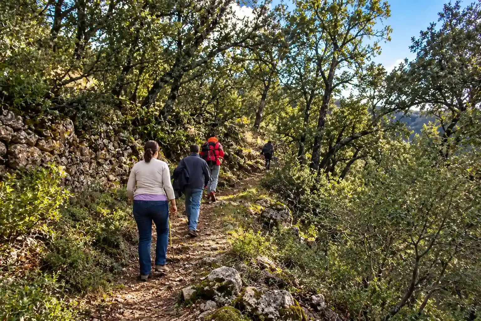 Tres excursionistas caminan por un sendero rocoso en el bosque, bajo árboles iluminados por el sol