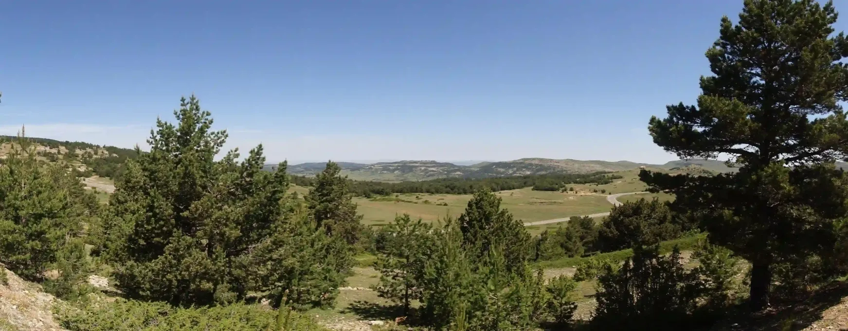 Amplio paisaje rural con árboles verdes, campos ondulados y colinas lejanas bajo un cielo azul despejado