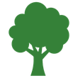 Arbre vert
