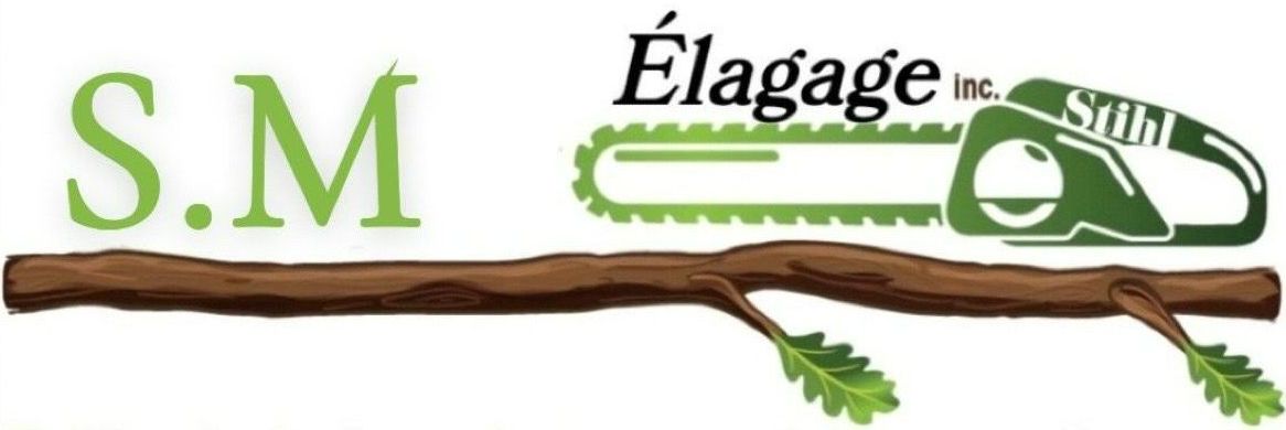 Logo de Michelet Samuel