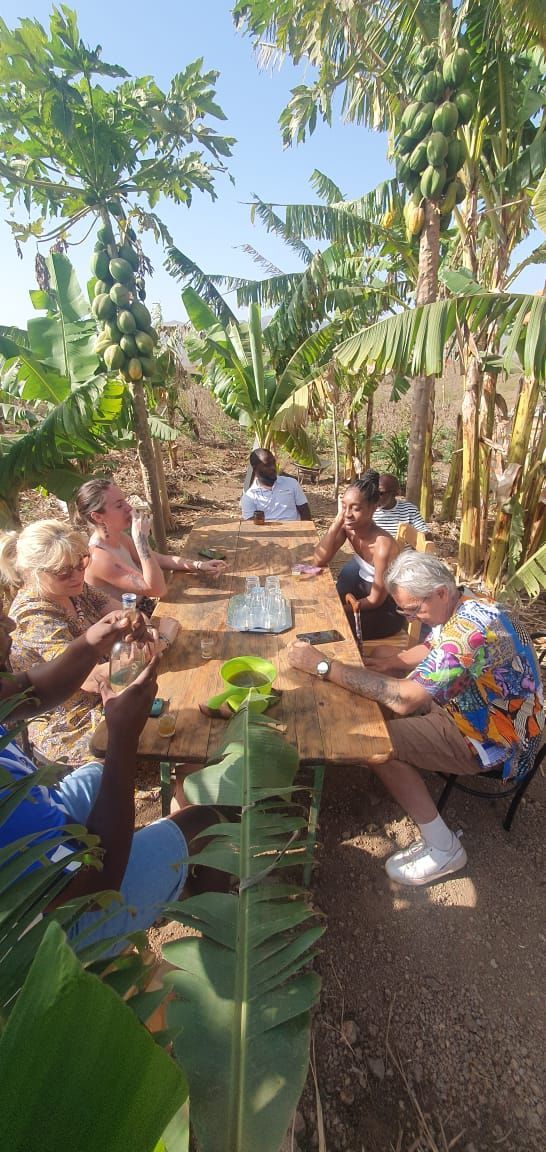 Um grupo de pessoas está sentado em uma longa mesa em um campo.