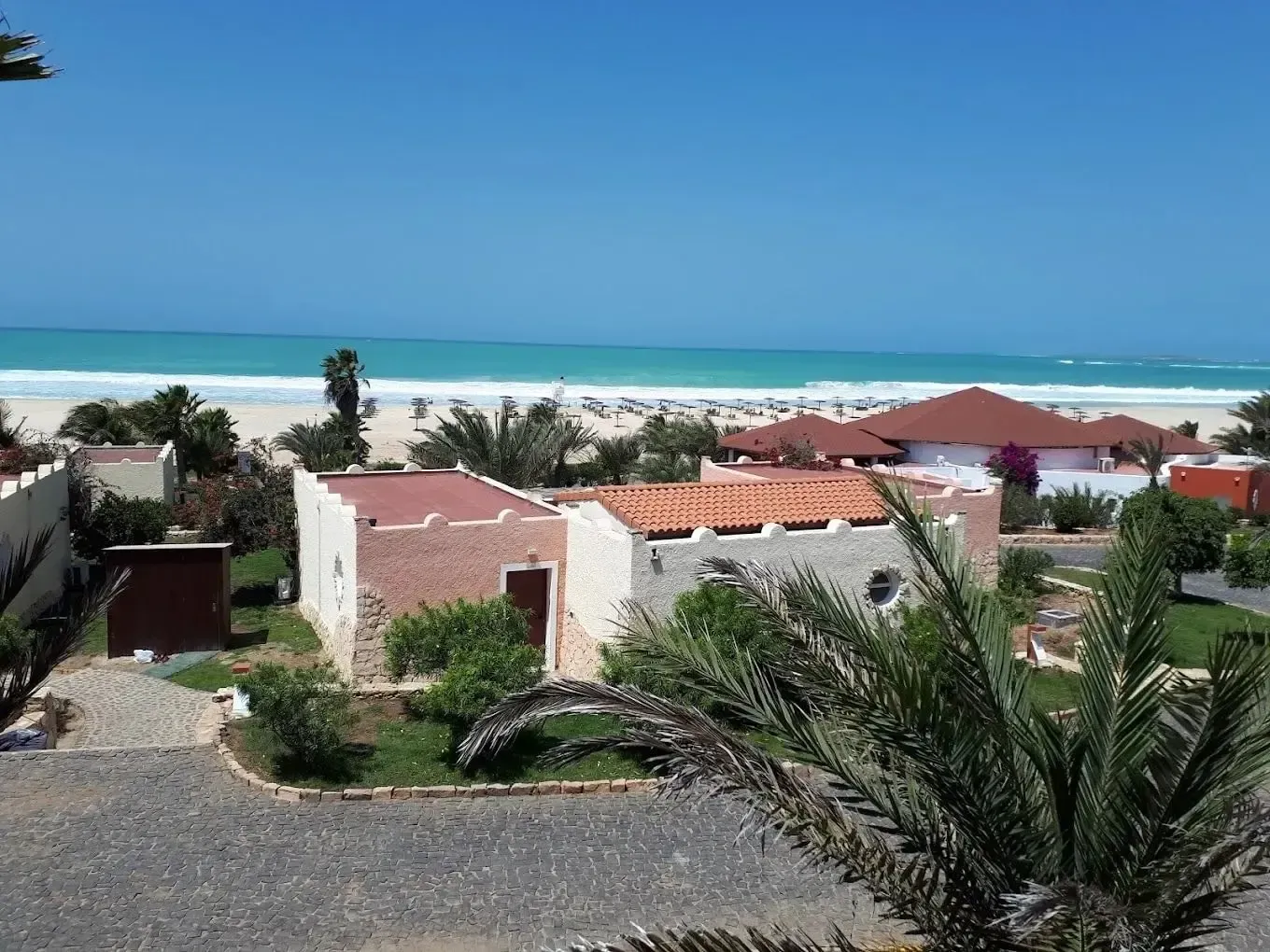 A view of a beach with houses and palm trees in the foreground