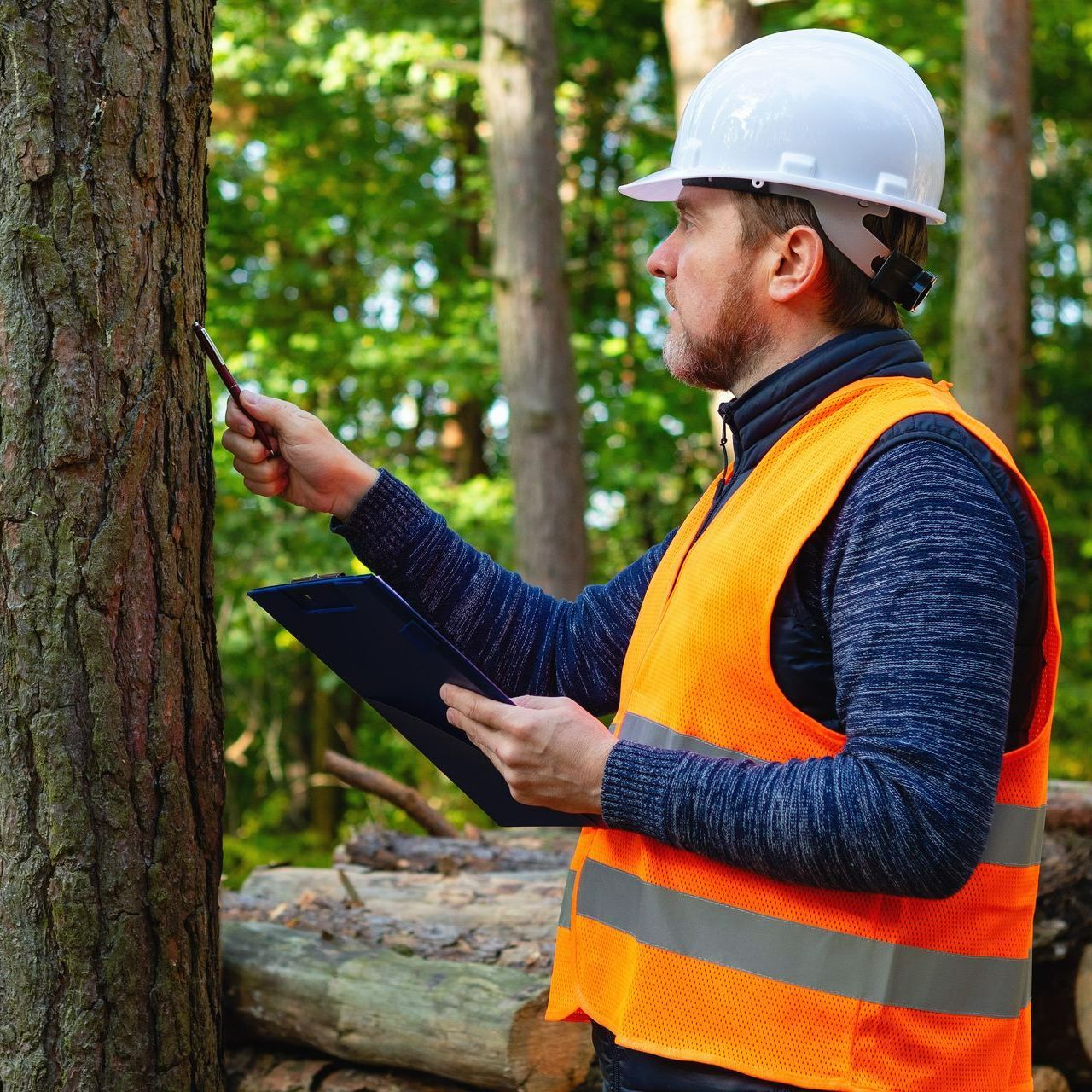 Un exploitant forestier