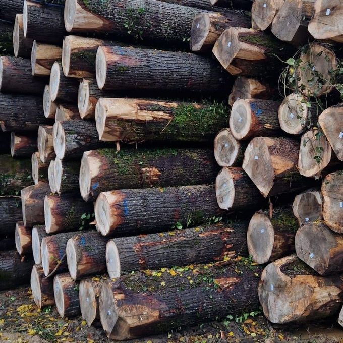 Tas de bois de chauffage