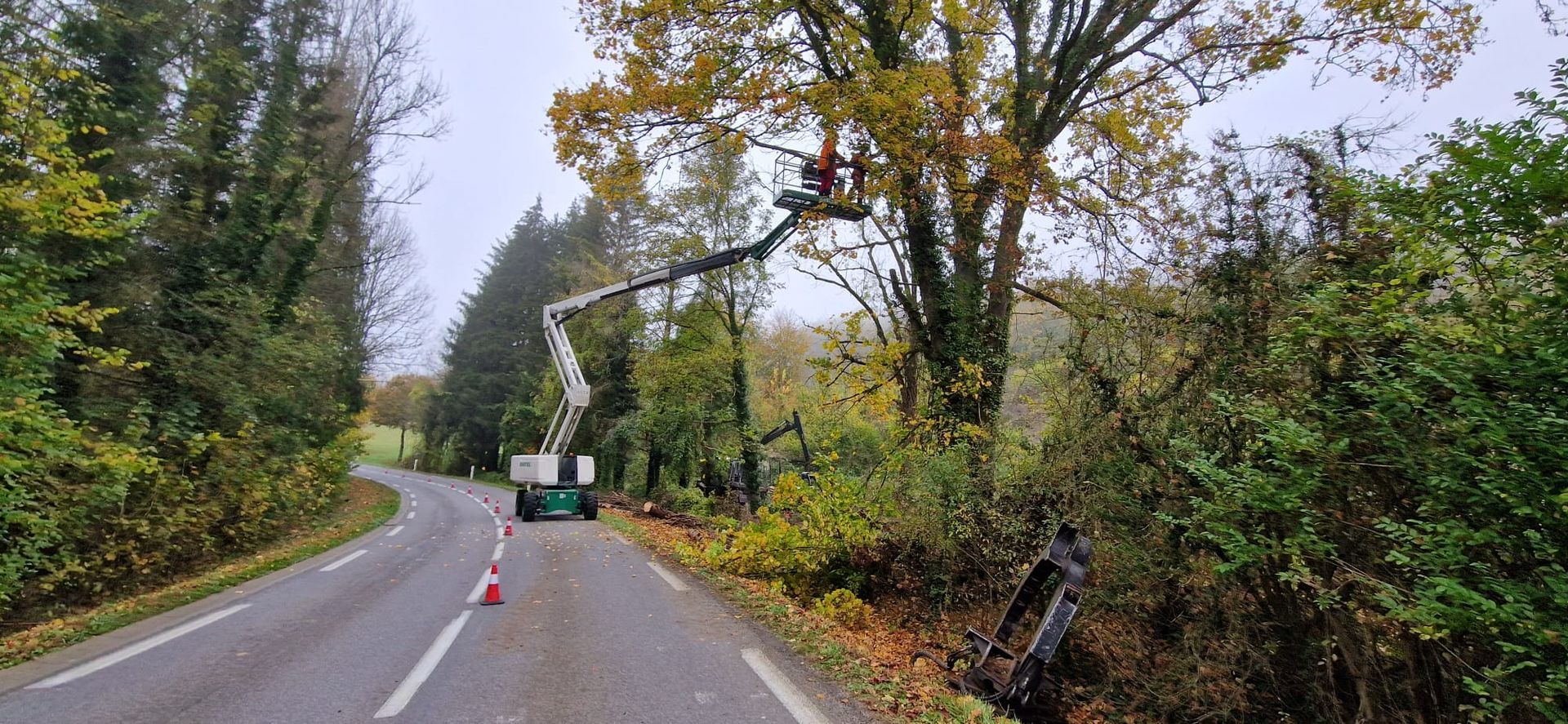 Travaux d'élagage au bord d'une route