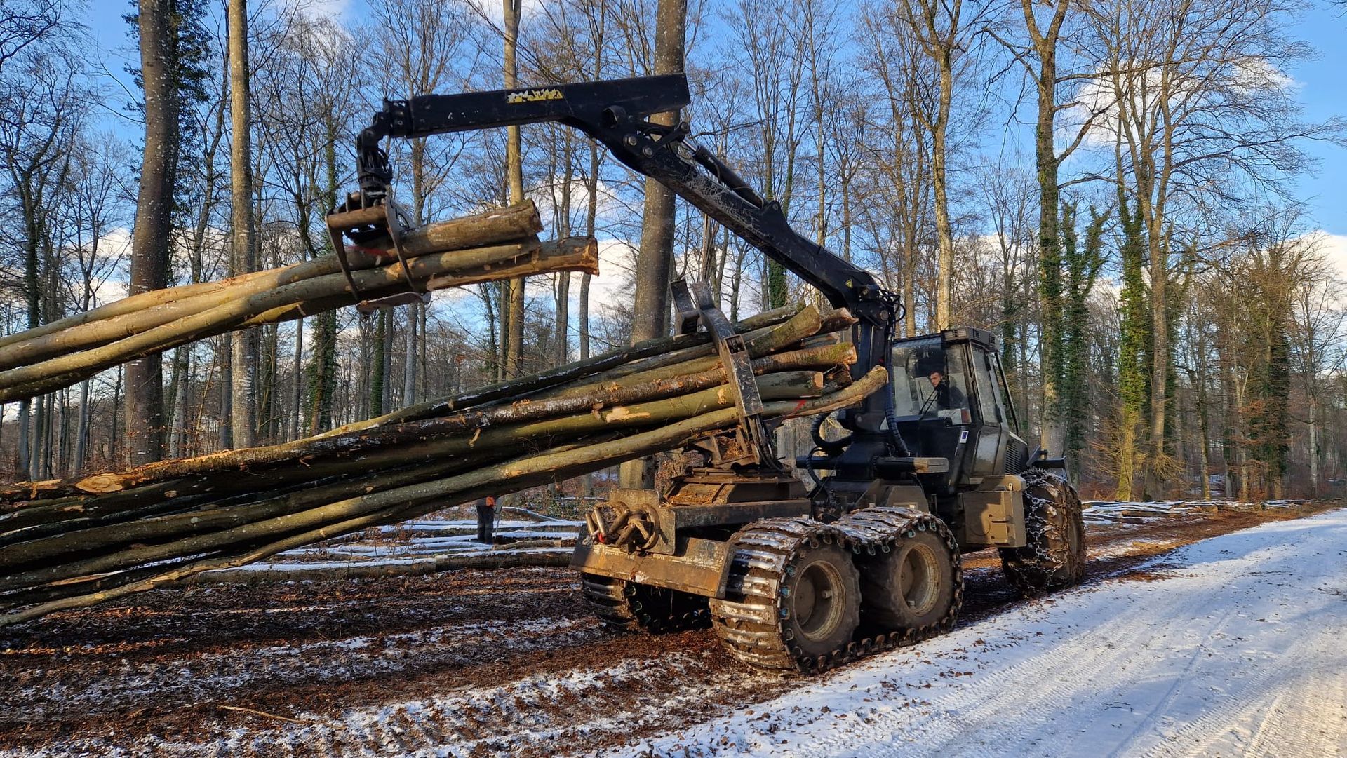 Débardage de bois