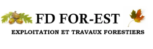Logo de l'entreprise FD-FOR-EST