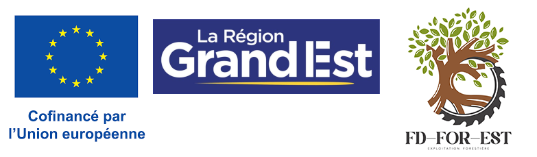 Logo FD For-Est et UE