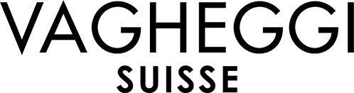 logo vagheggi