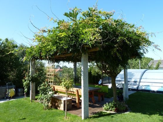 Mauer und Treppe zum Garten