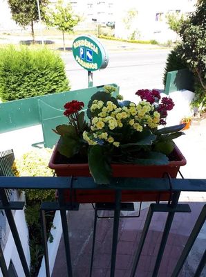 Jardineira com flores coloridas em uma grade de varanda, com uma placa verde ao fundo.