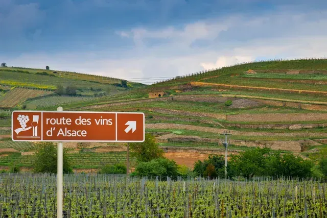 Photo de la route des vins