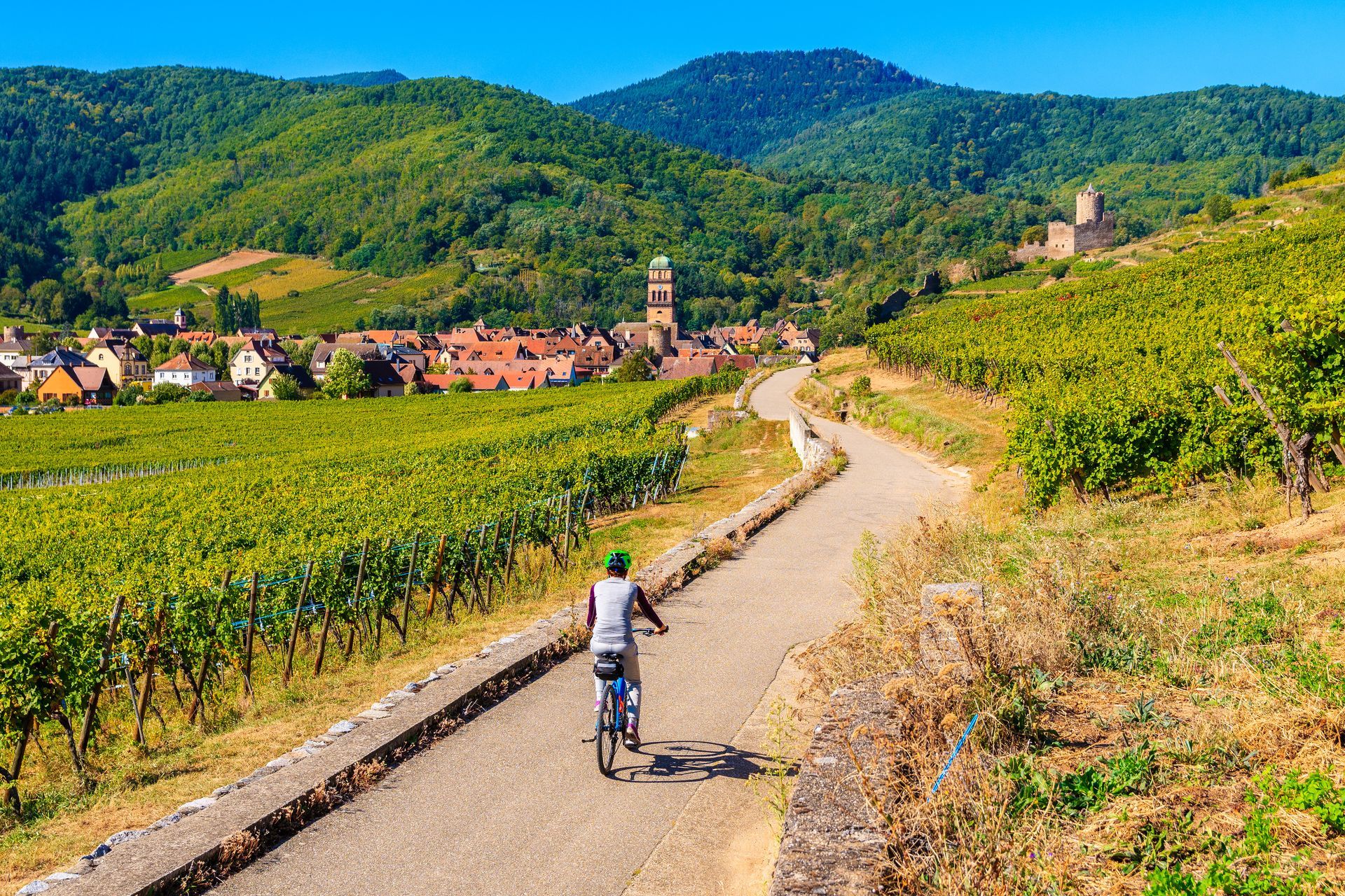 Route d'Alsace en été