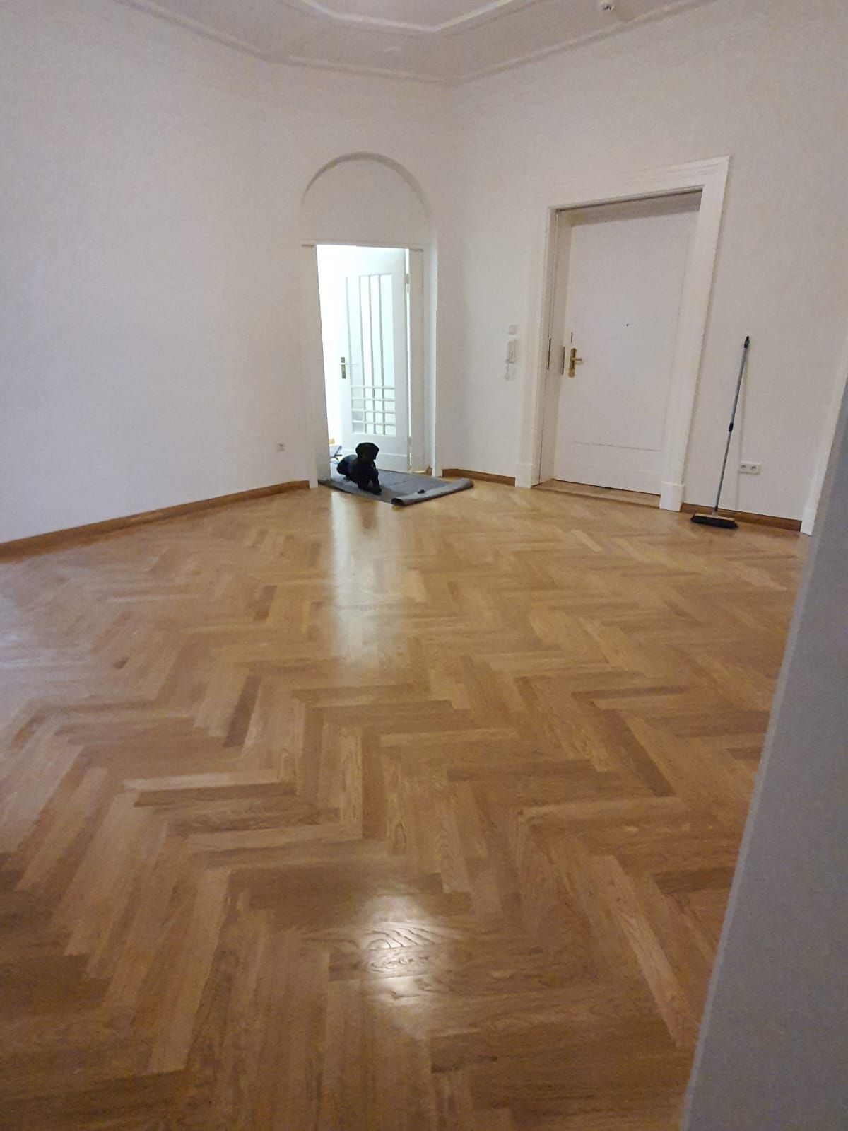 Leerer Raum mit Parkettboden, weißen Wänden, offener Tür und einem kleinen Hund, der auf einer Matte liegt.