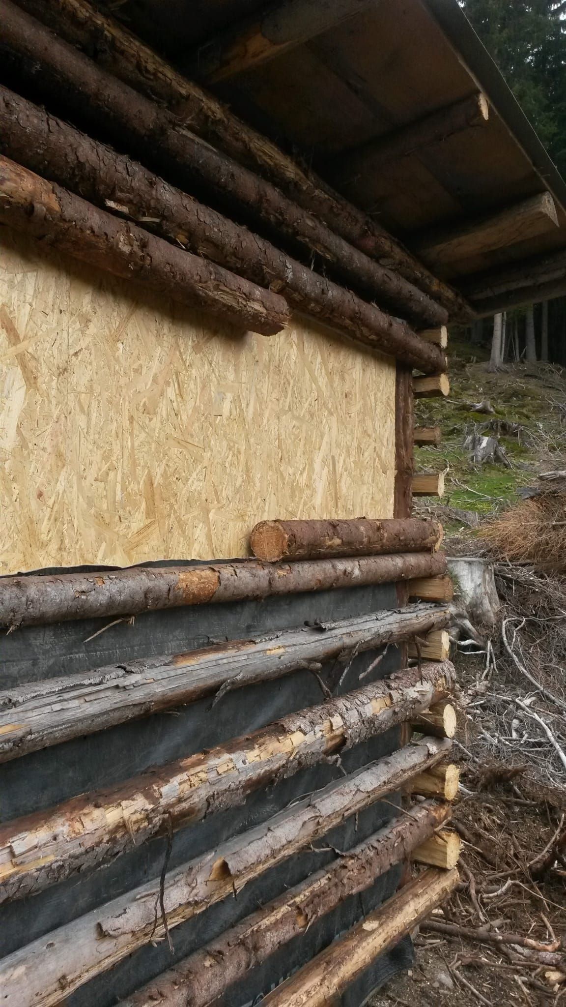 Auf einem Holzstoß liegt ein Stapel Holzscheite.