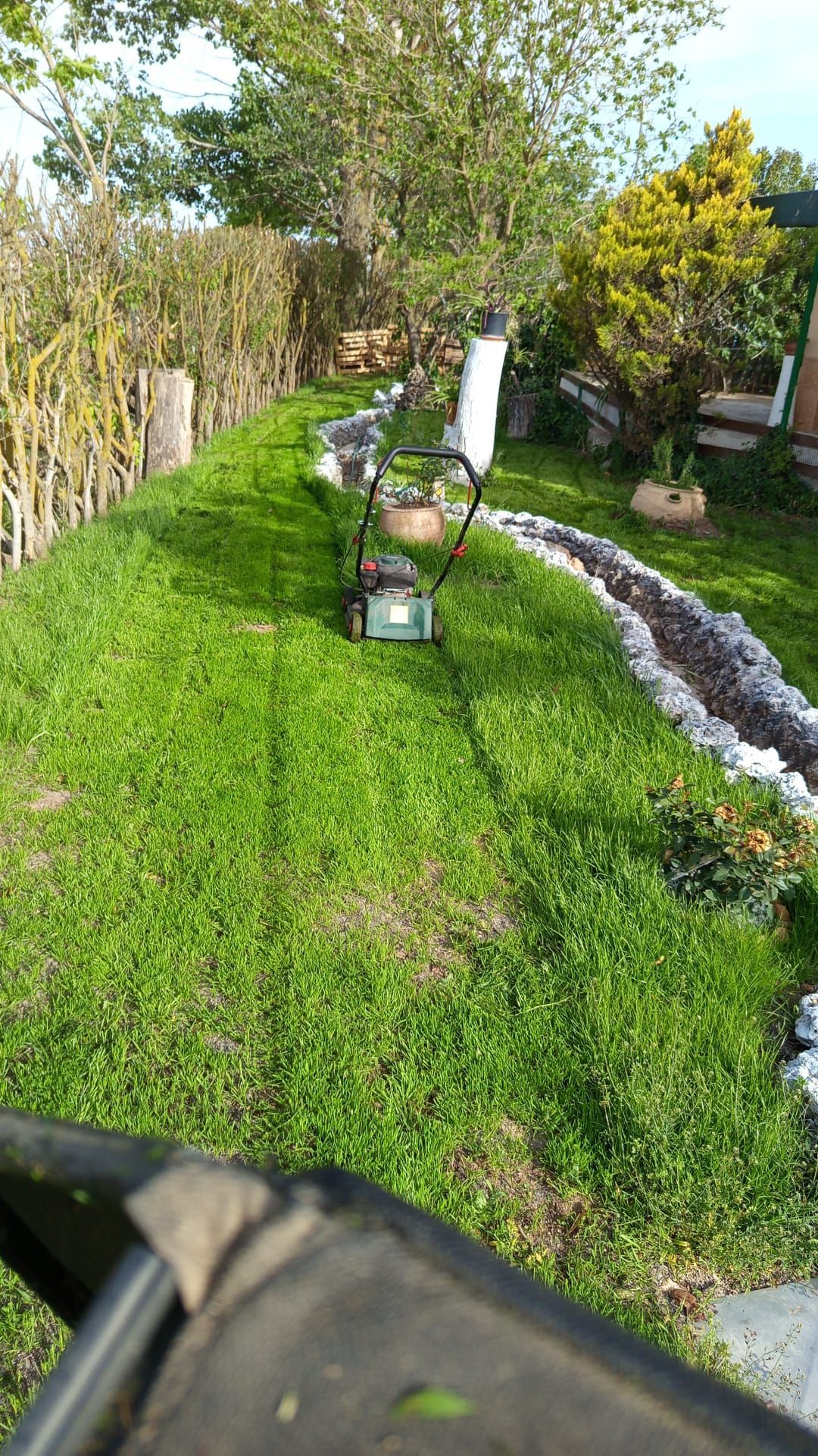 Sendero de jardín exuberante con césped verde, árboles, un borde de piedra y una cortadora de césped en el centro.