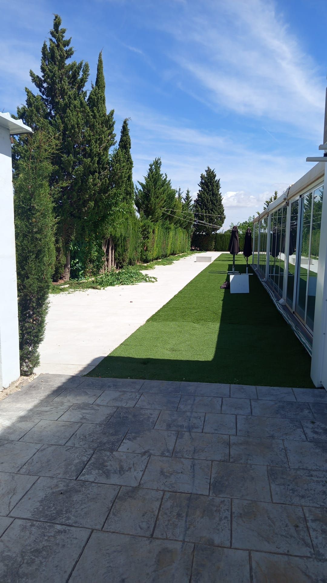 Un sendero soleado junto a un césped verde, altos cipreses y un moderno edificio de cristal.