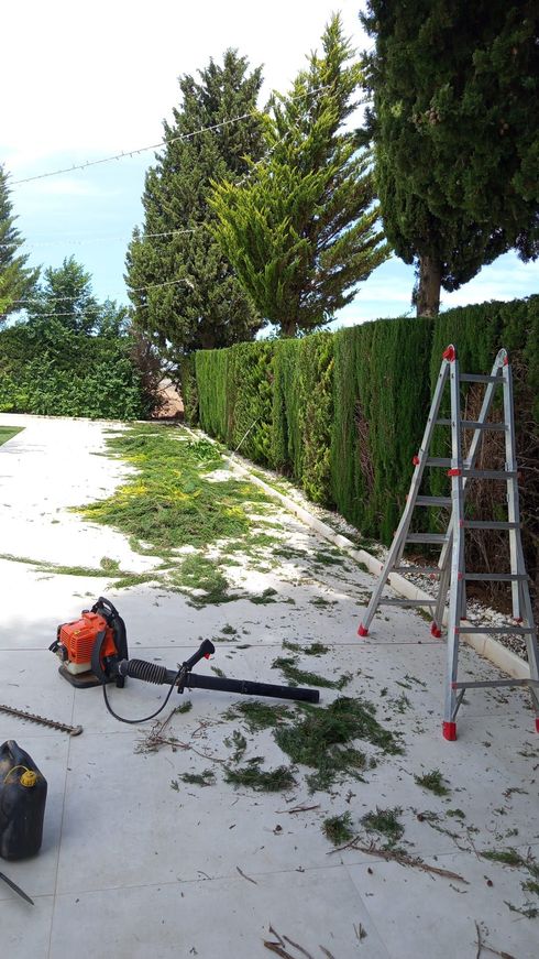 Obra de jardinería con herramientas para podar setos, ramas cortadas en una acera y una escalera junto a árboles