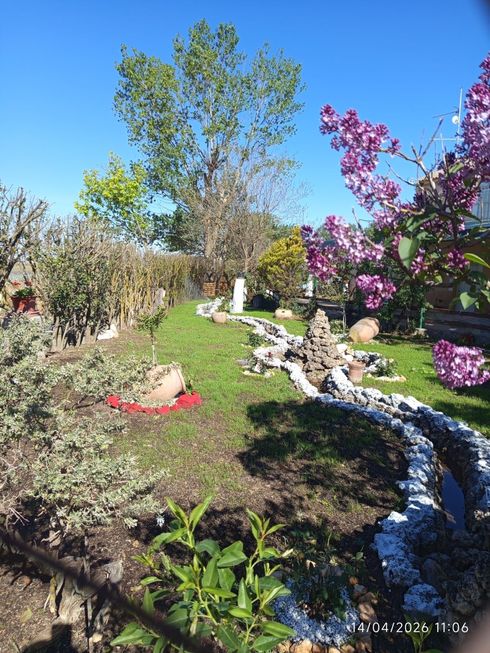 Un jardín soleado con flores rosas en plena floración, un borde de piedra blanca y un cielo azul despejado.
