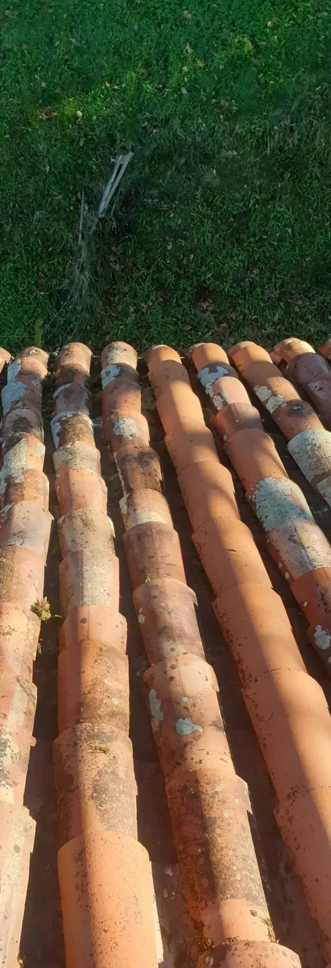 Tejas de terracota en primer plano, con césped verde y un objeto de jardín blanco al fondo.