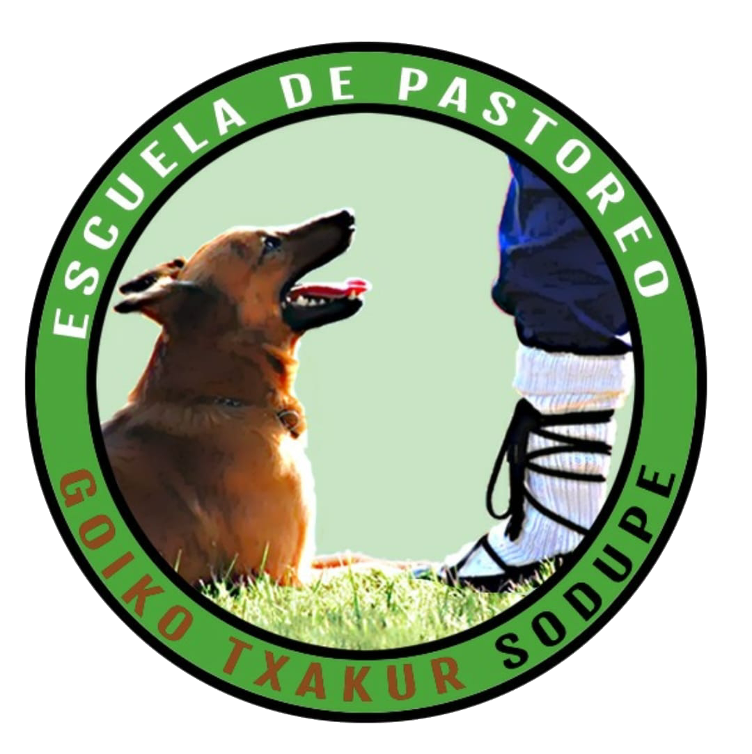Logotipo para una escuela de pastoreo que muestra a un perro mirando hacia arriba a una persona que lleva calcetines 