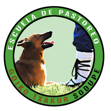 Logotipo para una escuela de pastoreo que muestra a un perro mirando hacia arriba a una persona que lleva calcetines 