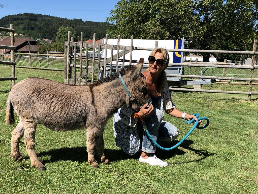 asinotherapie