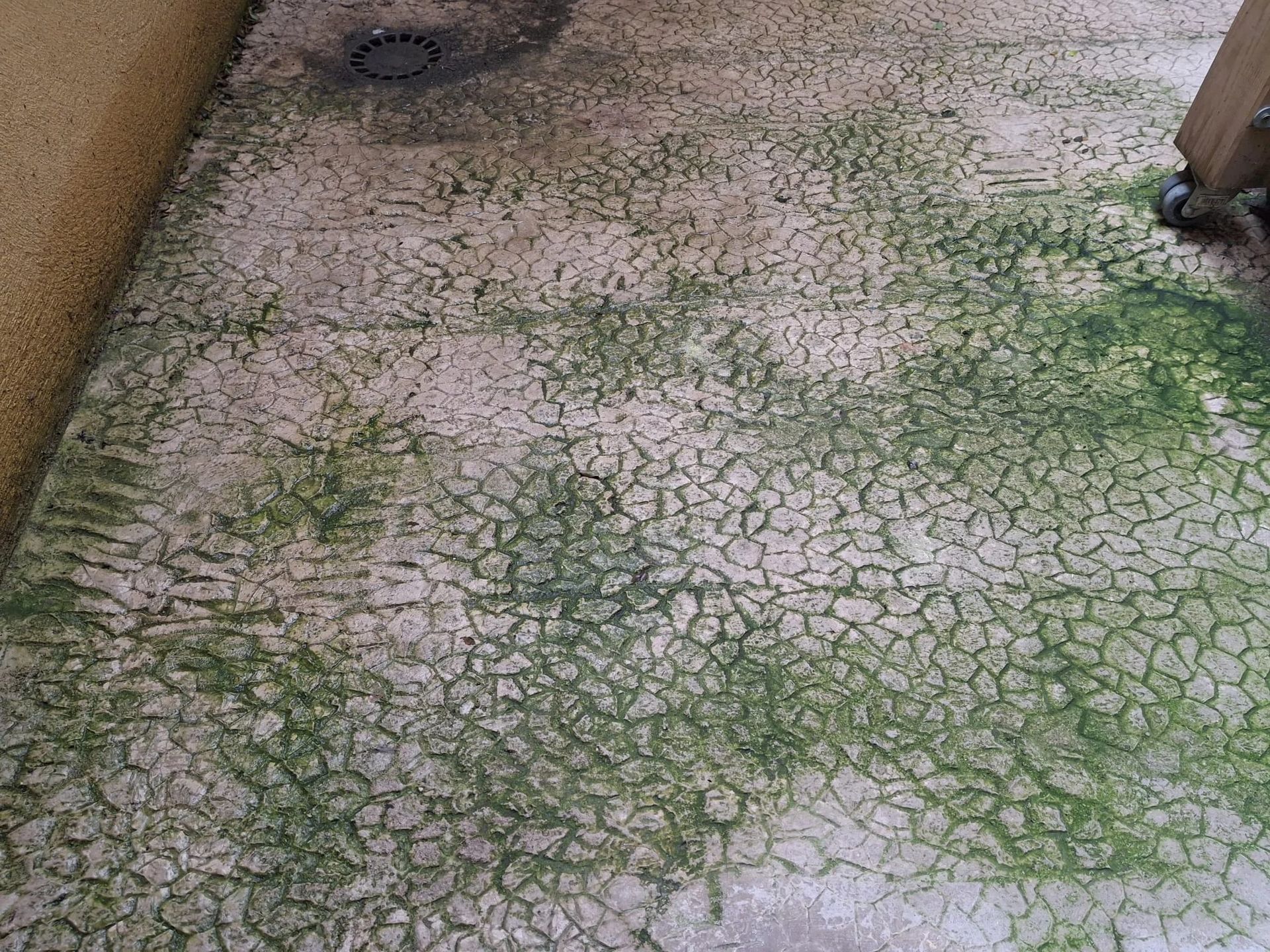 Sol en béton fissuré vert mousse et blanc dans une étroite allée extérieure