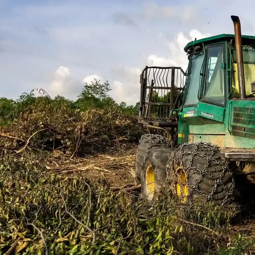 Un monitor de computadora muestra la hora 04:09:00