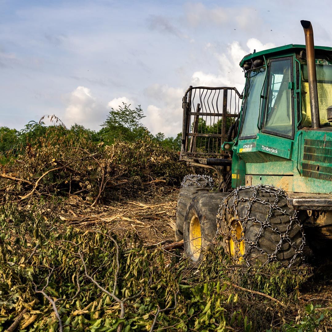 Movimiento de tierra