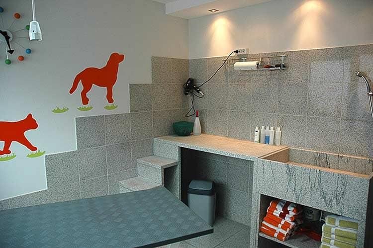 Ein Zimmer mit einem Hund und einer Katze an der Wand